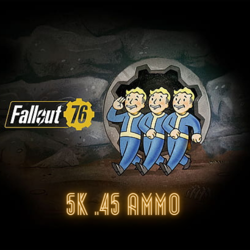 Fallout 76 Ammo Pack Services